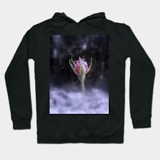 rosebud in the snow 3, tinted Hoodie